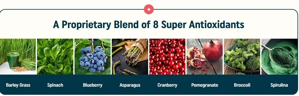 Nagano Tonic Ingrediant